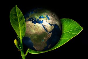 Co to jest zero waste